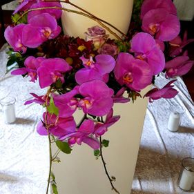 Urnenschmuck Orchideen - Harald Jungnitsch Blumen